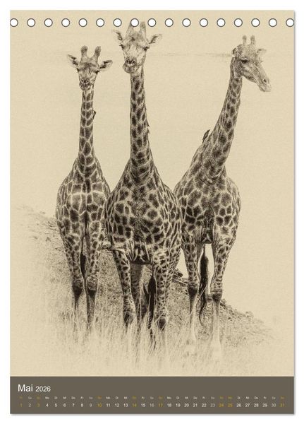 Produktbild: Afrikas Tierwelt - Sepia-Art (Tischkalender 2026 DIN A5 hoch), CALVENDO Monatskalender