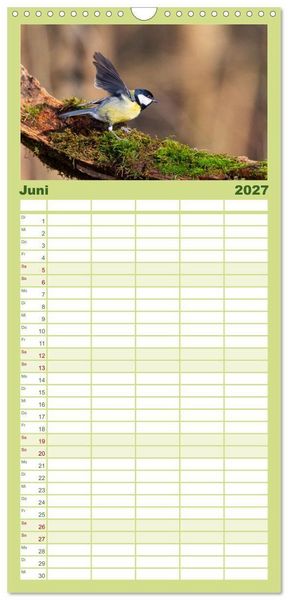 Produktbild: Familienplaner 2027 - Der Kernbei&szlig;er und seine gefiederten Gesellen mit 5 Spalten (Wandkalender, 21 x 45 cm) CALVENDO