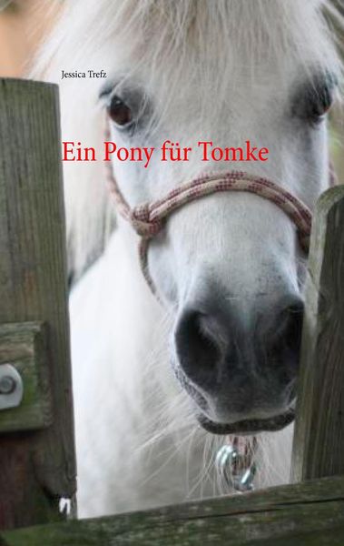 Ein Pony für Tomke