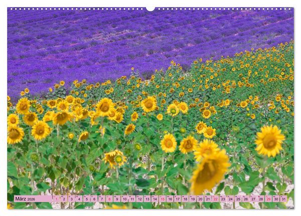 Produktbild: Provence, Lavendelzeit in S&uuml;dfrankreich (hochwertiger Premium Wandkalender 2026 DIN A2 quer), Kunstdruck in Hochglanz
