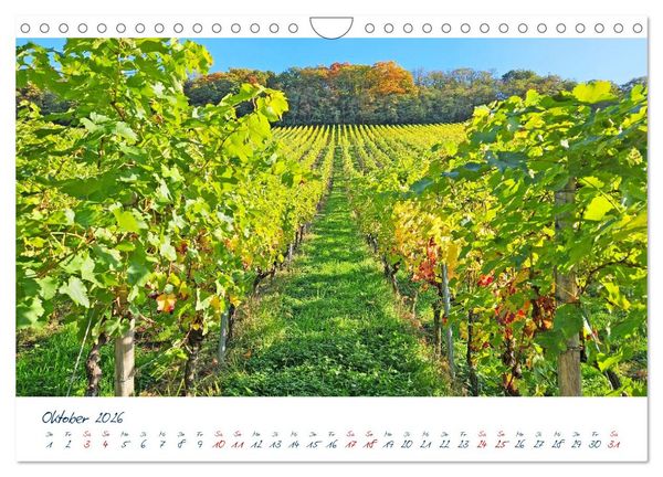 Produktbild: K&ouml;nigswinter-Oberdollendorf &ndash; Traum-Trip durch farbenpr&auml;chtige Weinberge (Wandkalender 2026 DIN A4 quer), CALVENDO Monatskalender