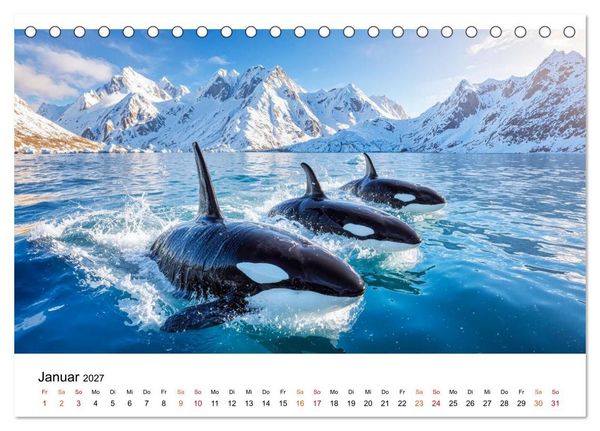 Produktbild: Orcas - ein Jahr voller Meer (Tischkalender 2027 DIN A5 quer), CALVENDO Monatskalender