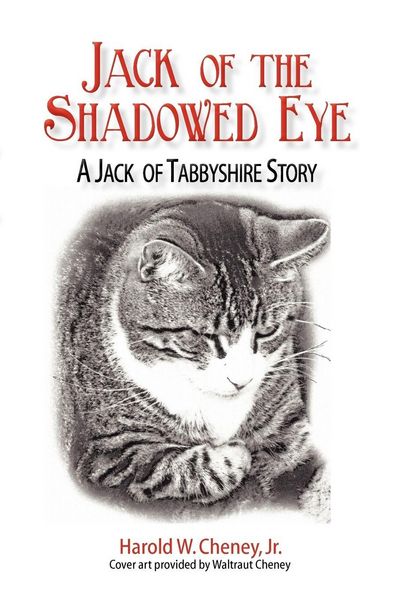 Produktbild: Jack of the Shadowed Eye