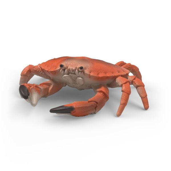 Produktbild: schleich&reg; 42742 Meerestiere Entdecker Set