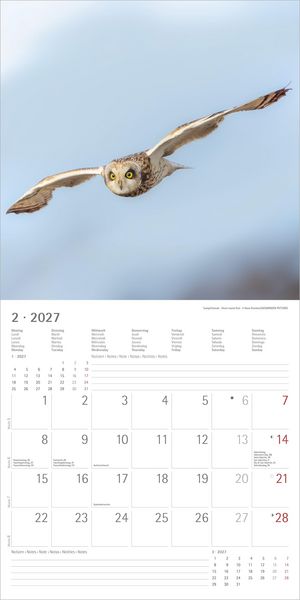 Produktbild: Eulen 2027