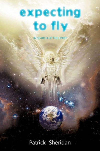 Produktbild: Expecting to Fly
