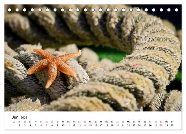 Produktbild: Maritime Impressionen Wilhelmshaven (Tischkalender 2026 DIN A5 quer), CALVENDO Monatskalender