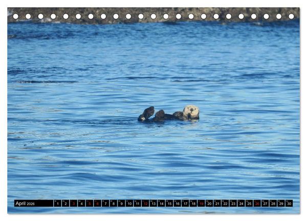 Produktbild: Vancouver - Vancouver Island - Seattle (Tischkalender 2026 DIN A5 quer), CALVENDO Monatskalender