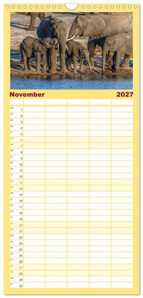 Produktbild: Familienplaner 2027 - Afrikas Tierwelt: Elefantenbabys mit 5 Spalten (Wandkalender, 21 x 45 cm) CALVENDO