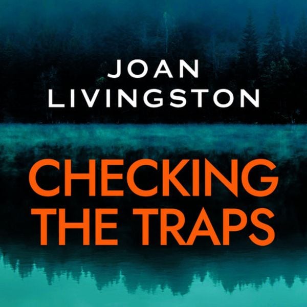 Produktbild: Checking the Traps