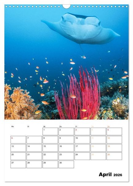 Produktbild: Farbrausch unter Wasser: Fische am Riff (Wandkalender 2026 DIN A3 hoch), CALVENDO Monatskalender