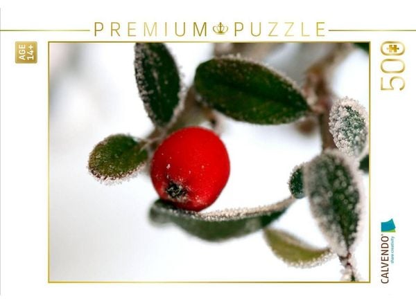 CALVENDO Puzzle Felsenmispel mit Frost | 500 Teile Lege-Größe 48 × 36 cm Foto-Puzzle für Erwachsene