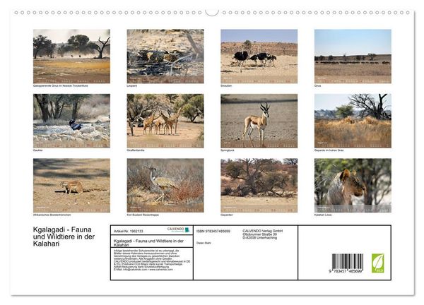 Produktbild: Kgalagadi - Fauna und Wildtiere in der Kalahari (hochwertiger Premium Wandkalender 2026 DIN A2 quer), Kunstdruck in Hochglanz