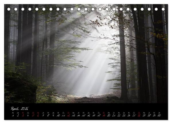Produktbild: Bayerischer Wald (Tischkalender 2026 DIN A5 quer), CALVENDO Monatskalender