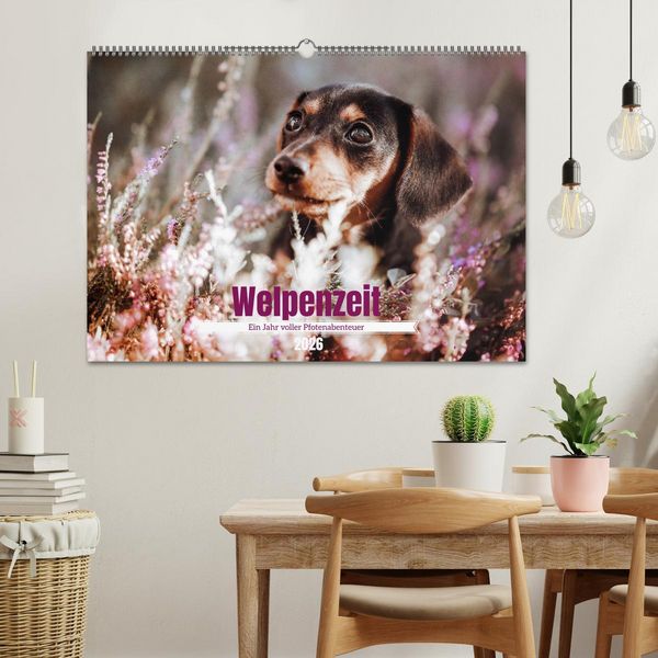 Produktbild: Welpenzeit - Ein Jahr voller spannender Pfotenabenteuer (Wandkalender 2026 DIN A2 quer), CALVENDO Monatskalender