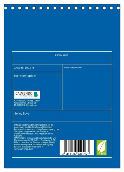 Produktbild: Sunny Boys (Tischkalender 2026 DIN A5 hoch), CALVENDO Monatskalender