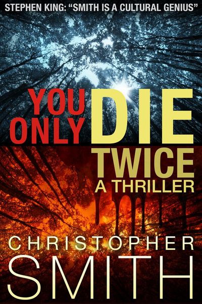 Produktbild: You Only Die Twice: A gripping psychological thriller
