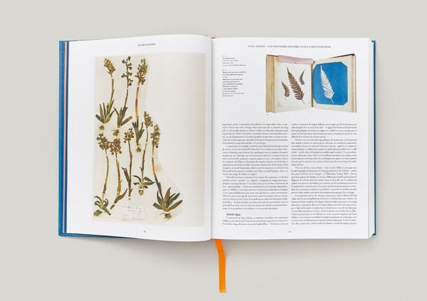 Produktbild: Anna Atkins