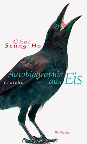 Produktbild: Autobiographie aus Eis