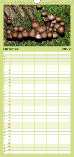 Produktbild: Familienplaner Pilze, Pilze (Wandkalender 2022 , 21 cm x 45 cm, hoch)