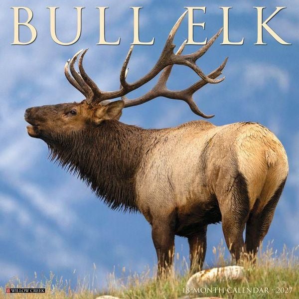 Produktbild: Bull Elk 2027 12 X 12 Wall Calendar