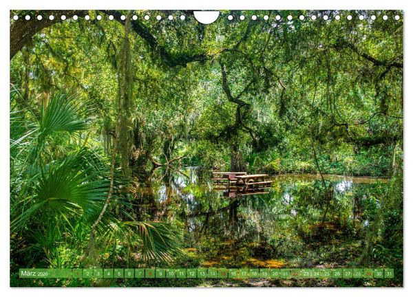Produktbild: Florida - Sonnige Str&auml;nde und magische S&uuml;mpfe (Wandkalender 2026 DIN A4 quer), CALVENDO Monatskalender