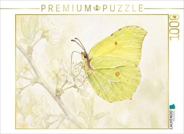 Produktbild: CALVENDO Puzzle Schmetterling | 1000 Teile Lege-Gr&ouml;&szlig;e 64x48cm Foto-Puzzle f&uuml;r gl&uuml;ckliche Stunden