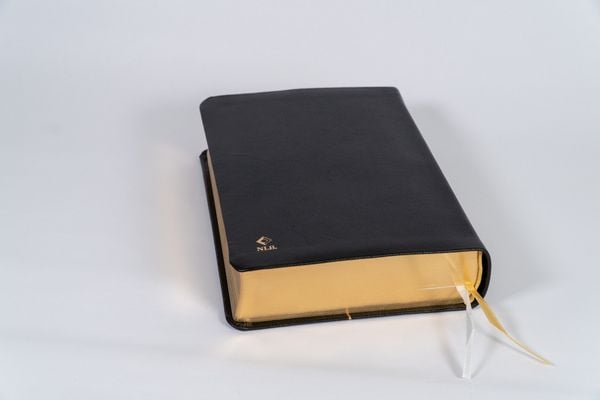 Produktbild: Neues Leben. Die Bibel, Standardausgabe, Leder mit Goldschnitt
