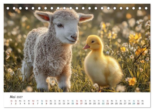 Produktbild: Wenn Tiere Freunde werden (Tischkalender 2027 DIN A5 quer), CALVENDO Monatskalender