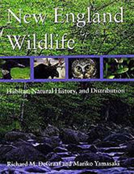 Produktbild: New England Wildlife