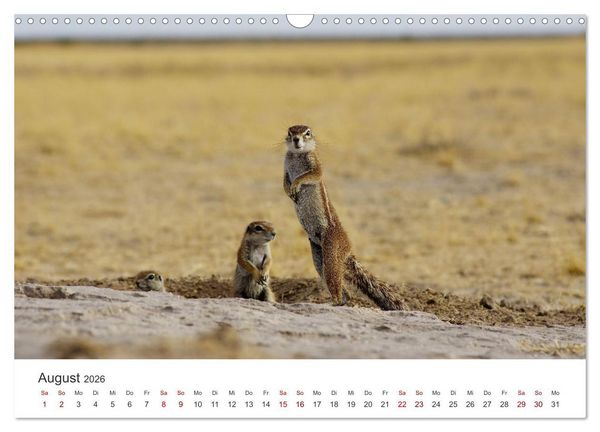Produktbild: Botswana - Eine spannende Reise in ein wundersch&ouml;nes Land. (Wandkalender 2026 DIN A3 quer), CALVENDO Monatskalender