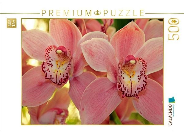 CALVENDO Puzzle Orchideen | 500 Teile Lege-Größe 48 × 36 cm Foto-Puzzle für Erwachsene