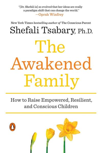 Produktbild: The Awakened Family