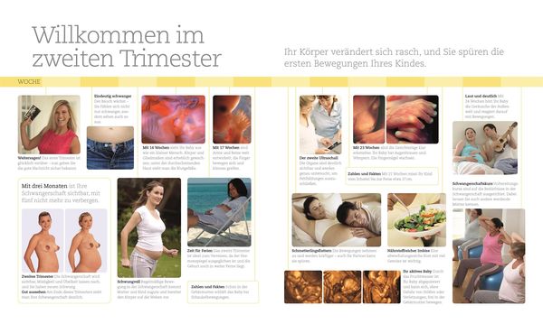 Alles über meine Schwangerschaft Tag für Tag