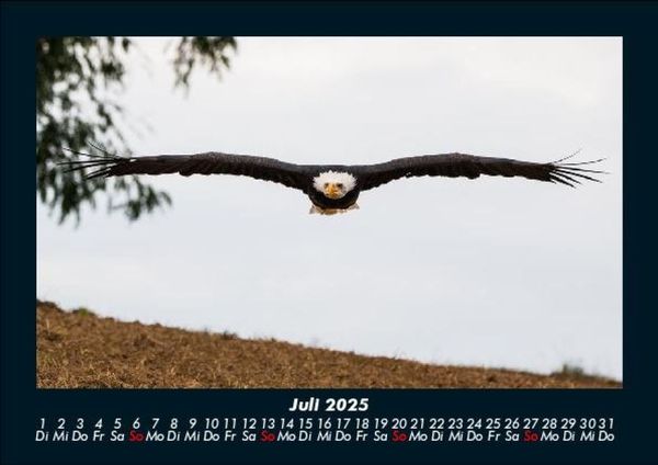 Produktbild: Adler 2025 Fotokalender DIN A5