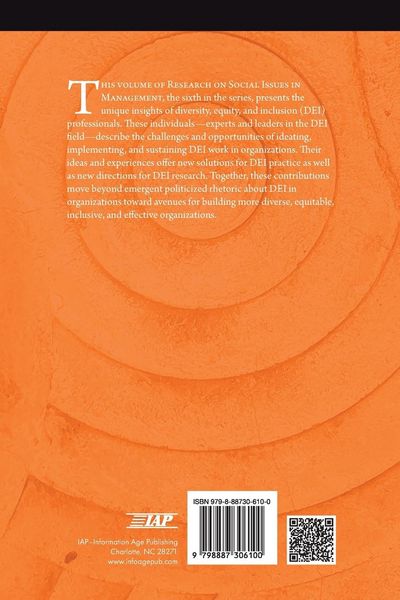 Produktbild: Diversity, Equity, and Inclusion Insights in Practice