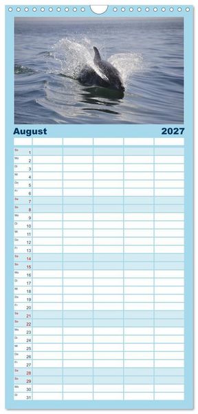 Produktbild: Familienplaner 2027 - Delfine und Wale mit 5 Spalten (Wandkalender, 21 x 45 cm) CALVENDO