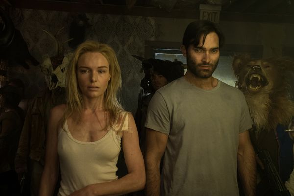 Produktbild: The Domestics