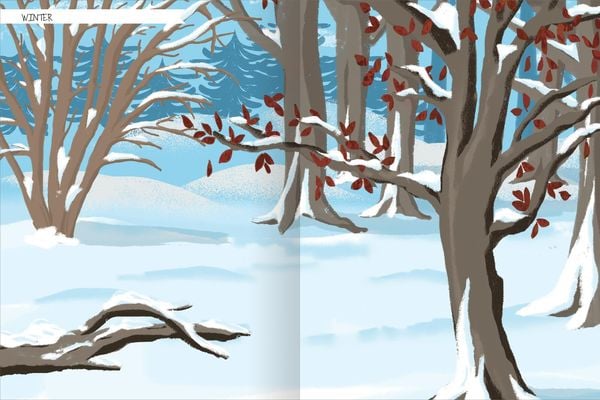 Produktbild: Naturforscher-Kids &ndash; Stickerheft Im Wald