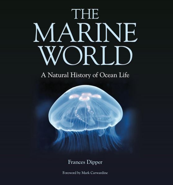 Produktbild: The Marine World