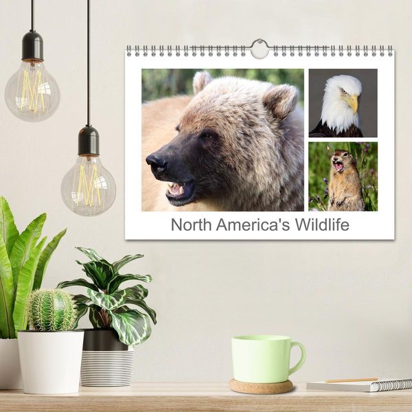 Produktbild: North America's Wildlife (Wall Calendar 2026 DIN A4 landscape), CALVENDO 12 Month Wall Calendar