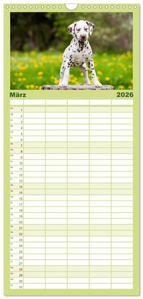 Produktbild: Familienplaner 2026 - Dalmatiner mit 5 Spalten (Wandkalender, 21 x 45 cm) CALVENDO