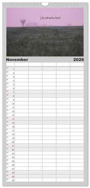 Produktbild: Familienplaner 2026 - wundersch&ouml;ne Lichtmomente mit 5 Spalten (Wandkalender, 21 x 45 cm) CALVENDO