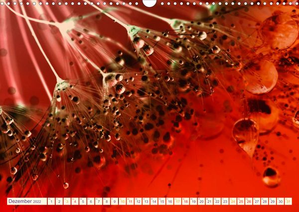 Produktbild: B&uuml;hne frei f&uuml;r die bunte Tr&ouml;pfchenwelt (Wandkalender 2022 DIN A3 quer)