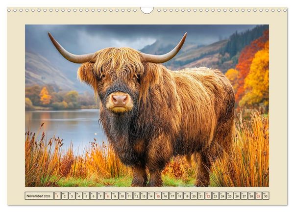 Produktbild: Schottische Hochlandrinder. Zwischen Nebel, Natur und rauer Pracht (Wandkalender 2026 DIN A3 quer), CALVENDO Monatskalender