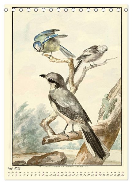 Produktbild: Aert Schouman. V&Ouml;GEL (Tischkalender 2026 DIN A5 hoch), CALVENDO Monatskalender