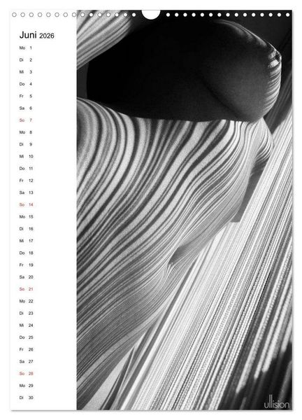 Produktbild: Akt abstrakt (Wandkalender 2026 DIN A3 hoch), CALVENDO Monatskalender
