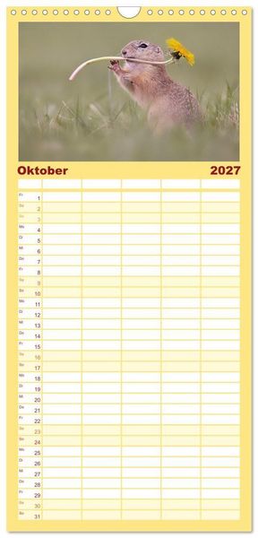 Produktbild: Familienplaner 2027 - Zauberhafte Ziesel mit 5 Spalten (Wandkalender, 21 x 45 cm) CALVENDO