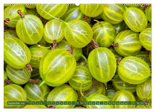 Produktbild: GR&Uuml;N - Gem&uuml;se und Obst - Knackig und Frisch (Wandkalender 2026 DIN A2 quer), CALVENDO Monatskalender