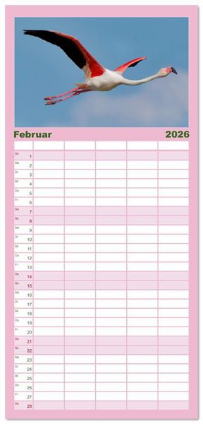Produktbild: Familienplaner 2026 - The Power Of Pink mit 5 Spalten (Wandkalender, 21 x 45 cm) CALVENDO
